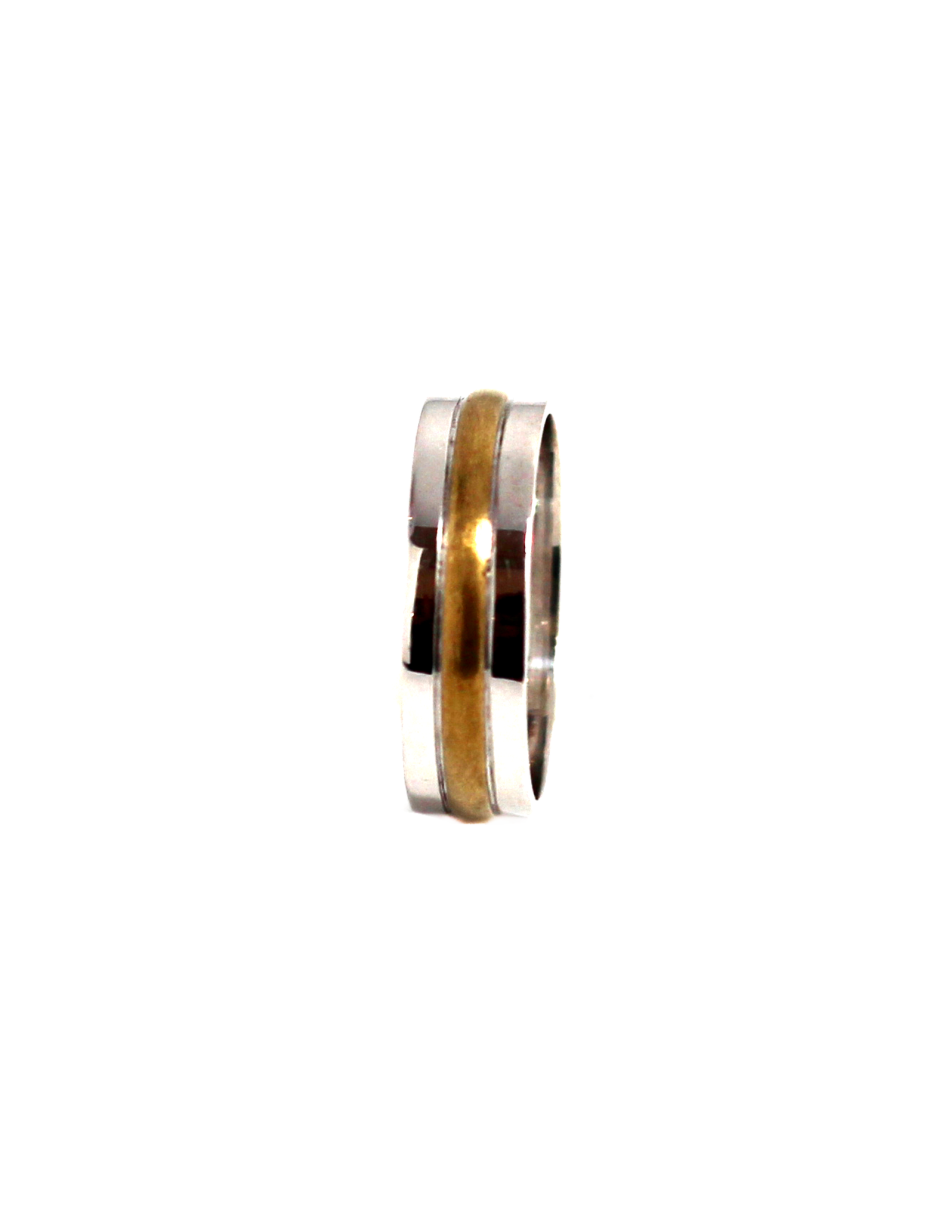 Aliança em Ouro Bicolor 9k 9KALM031