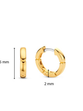 TI SENTO - Milano Earrings 7889SY