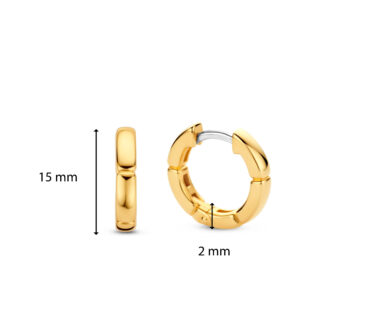 TI SENTO - Milano Earrings 7889SY
