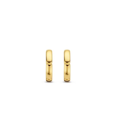 TI SENTO - Milano Earrings 7889SY