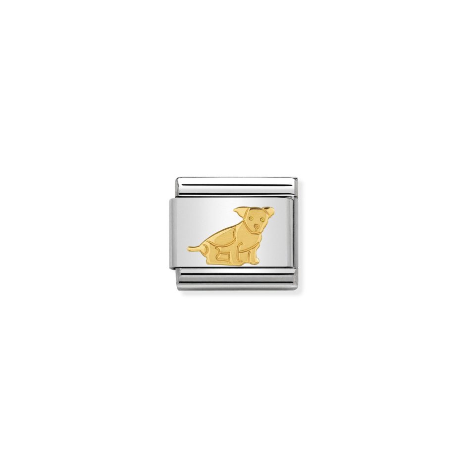 Link Nomination Animais