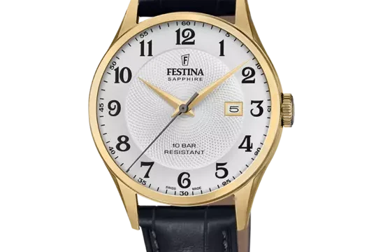 Relógio Festina Swiss Made F20010/1