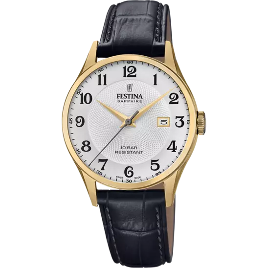 Relógio Festina Swiss Made F20010/1