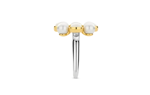 Anel Ti Sento Milano 12325YP/56