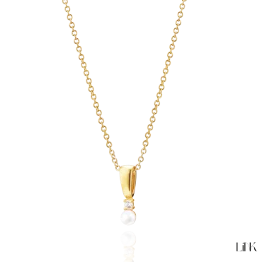 Colar Link 1LINK-1750