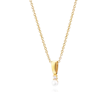 Colar Link 1LINK-1750