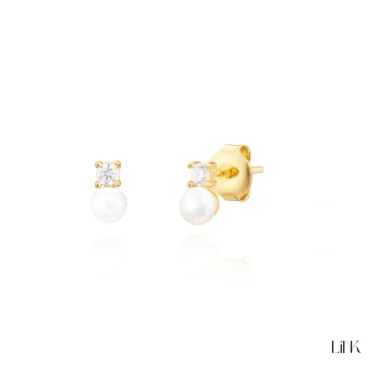 Brincos Link 1LINK-1751B