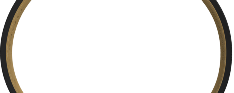 TIMEX Q Men´s Leather TW2W64300