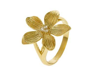 Anel Eugénio Campos Lily 110.B404.D1.12