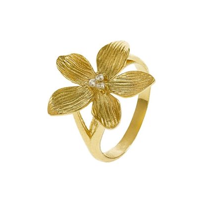 Anel Eugénio Campos Lily 110.B404.D1.12