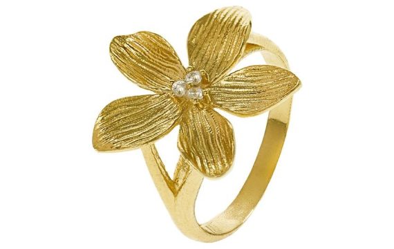 Anel Eugénio Campos Lily 110.B404.D1.12